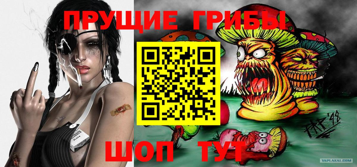 Галлюциногенные грибы GOLDEN TEACHER Ртищево